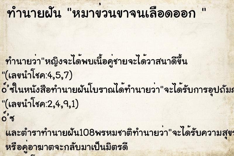 ทำนายฝัน หมาข่วนขาจนเลือดออก 